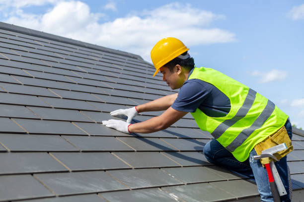 Best Solar Panel Roofing Installation  in Lincoln Park, MI