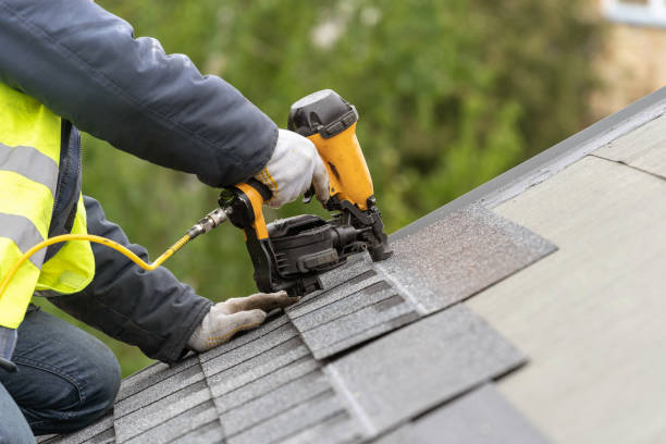 Best Roof Ventilation Installation  in Lincoln Park, MI