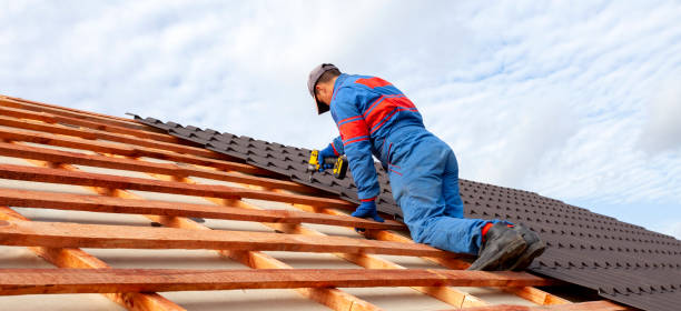 Best Gutter Installation and Repair  in Lincoln Park, MI